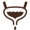 Bladder Cancer
