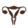 Cervical Cancer