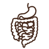 Digestive