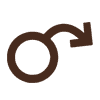 Erectile Dysfunction