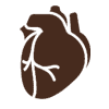 Heart Failure