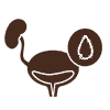 Leukorrhea