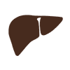 Liver