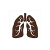 Lungs