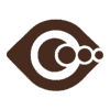 Macular Degeneration